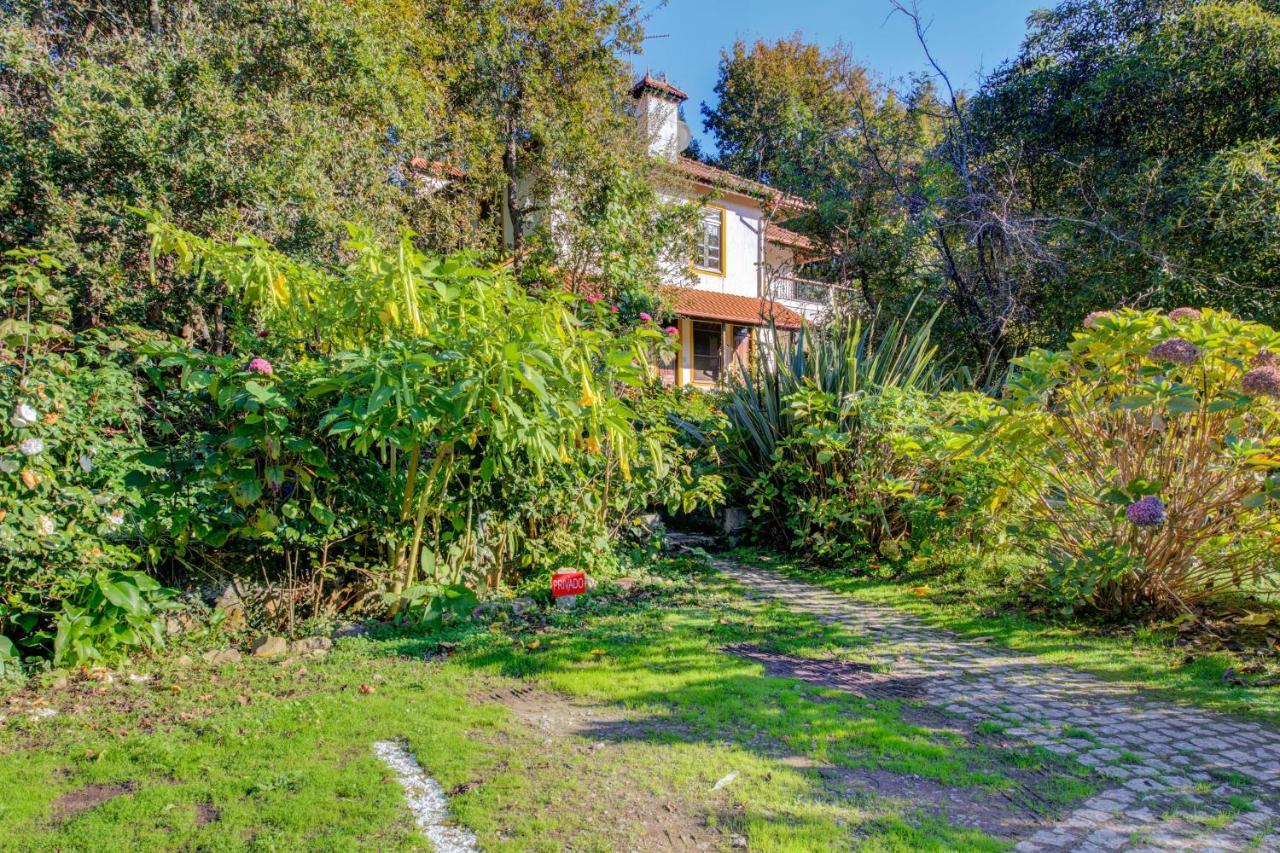Casa Do Moinho Rural Campo E Praia , 9 Pessoas, Animais Benvindos Espinho  Exterior photo